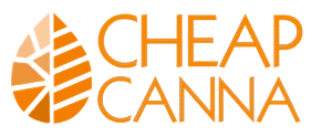 cheap canna